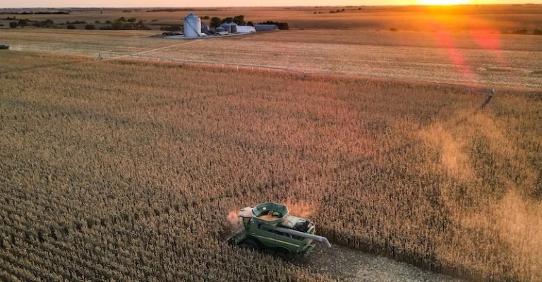 computer vision in agriculture