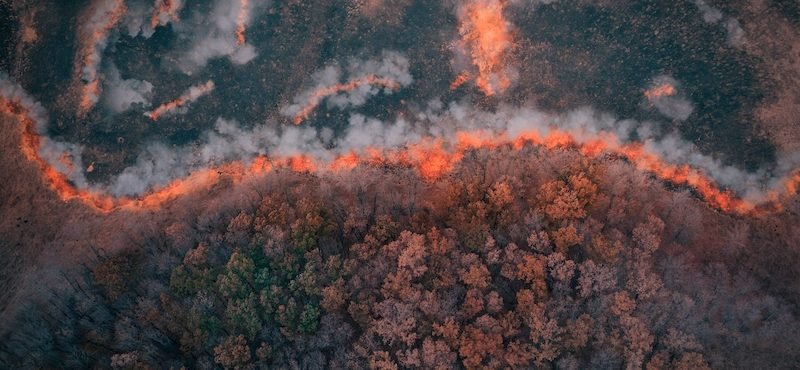 computer vision wildfire detection